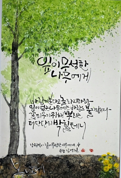 잎이풍성한 나무에게